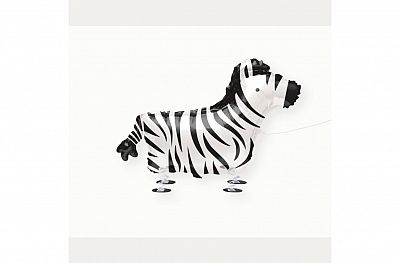 Chodící balónek - zebra 76 cm