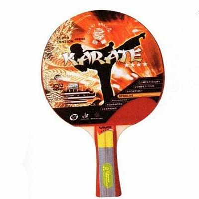Raketa na stolný tenis ITTF KARATE 4 STARS GIANT DRAGON