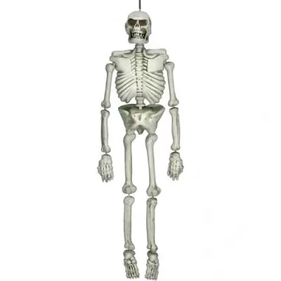 Halloweenska dekorácia ľudská kostra 137 cm