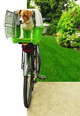 Plastový box pre psy/mačky Peggy