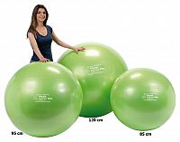 Physio Gymnic Plus 85 cm