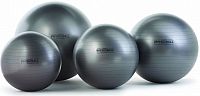 PhysioBall Maxafe 105 cm