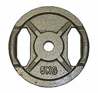 Liatinový kotúč s úchopmi 5kg - 25 mm