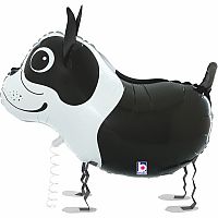 Chodiaci Bostonský teriér 48cm fóliový balónik