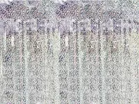 Party závěs holografický 90 x 250 cm