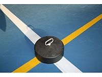 Závažie na wimbledon - liatina