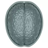 Forma na puding tvar Mozog - Plastic