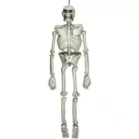 Halloweenska dekorácia ľudská kostra 137 cm