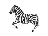 Fóliový balónik MINI Zebra 35cm