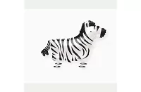 Chodiaci balónik - zebra 76 cm