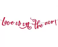 Papierová girlanda - Love is in the air - 200 cm