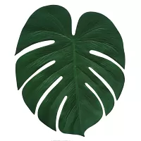 Dekorace Palmové listy 4 ks