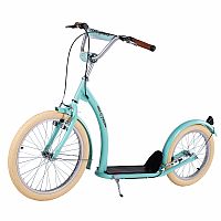 Kolobežka s pumpovanými kolesami NILS Extreme WH222 mentolová