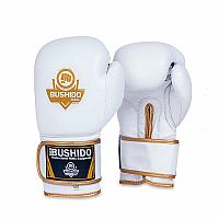 Boxerské rukavice DBX BUSHIDO DBD-B-2