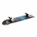 Skateboard NILS Extreme CR3108SA Forest