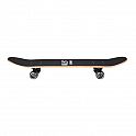 Skateboard NILS Extreme CR3108SA Space Star