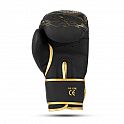 Boxerské rukavice DBX BUSHIDO Gold Dragon