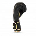 Boxerské rukavice DBX BUSHIDO Gold Dragon