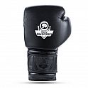Boxerské rukavice DBX BUSHIDO B-ProFight