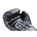 Boxerské rukavice DBX BUSHIDO Striker