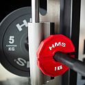 Progresivní přídavné kotouče HMS TSN100 2 x 1 kg