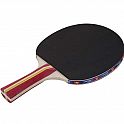 Pálky na stolní tenis PLUS A04 SET