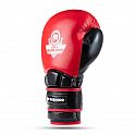 Boxerské rukavice DBX BUSHIDO Warrior RED