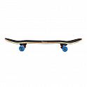 Skateboard NILS Extreme CR3108 SA Monkey