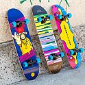 Skateboard NILS Extreme CR3108 SA Monkey