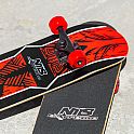 Skateboard NILS Extreme CR3108 SA Aztec