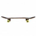 Skateboard NILS Extreme CR3108SA Stain