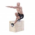 Plyo Box HMS DSC01