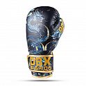 Boxerské rukavice DBX BUSHIDO ARB-Kids-v5 6 oz.