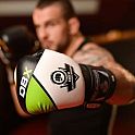 Boxerské rukavice DBX BUSHIDO B-2v6