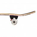 Skateboard NILS Extreme CR3108 SA Etno