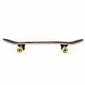 Skateboard NILS Extreme CR3108SA Stain