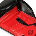 Boxerské rukavice DBX BUSHIDO B-2v15