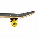 Skateboard NILS Extreme CR3108 Color Worms 1